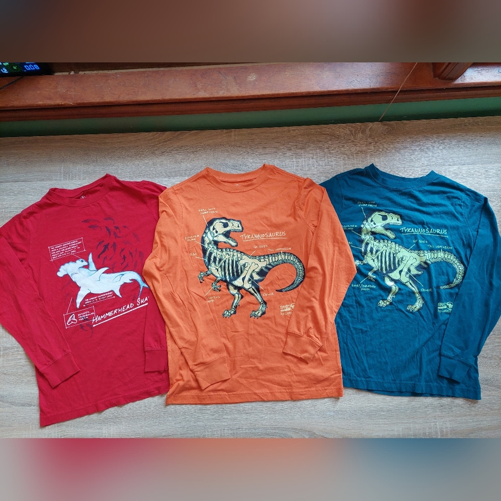 Land's End euc/ln Size 14-16 tees - Picture 2 of 15
